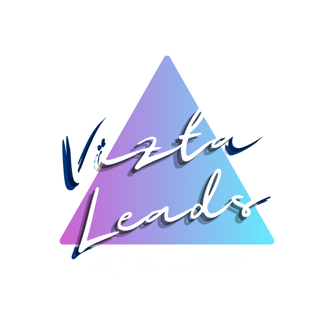 Top Website Designers in Hyderabad | Vizta Leads – Top Logo Designers, Branding & Digital Marketing Agency